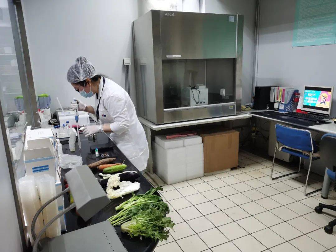 龙湾镇食品检测实验室装修方案